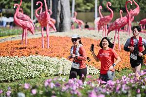 BIB: 
                            <button type="button" onclick="openModal(27793494)" class="btn btn-primary btn-sm float-right btn-popup" data-toggle="modal" data-target=".modal-high-quality">
                        <i class="fas fa-shopping-cart"></i> Add to Cart
                    </button>
                                            <button type="button" onclick="isThisMe(27793494, true)" class="btn btn-success btn-sm float-right btn-popup btn-isme hidden" data-toggle="tooltip" data-placement="bottom" title="นี่คือรูปของคุณใช่ไหม คลิกที่นี่เพื่อเอาเข้าอัลบั้ม">
                        <i class="fas fa-plus"></i> Add to album
                    </button>
                    <button type="button" onclick="isThisMe(27793494, false)" class="btn btn-warning btn-sm float-right btn-popup btn-isnotme hidden">
                        <i class="fas fa-ban"></i> Remove from album
                    </button>